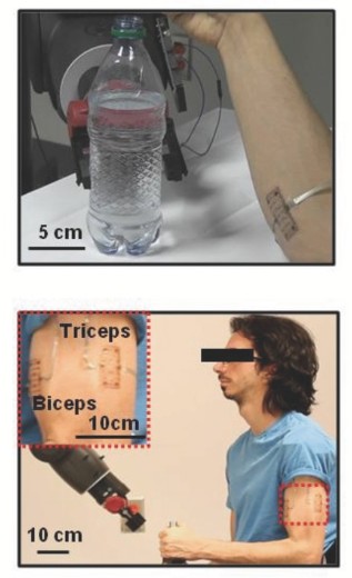 In an experiment, the blindfolded operator of a robot arm uses the sensors and actuators on his upper arm to apply precise pressure to a bottle. (Image courtesy of Baoxing Xu and John A. Rogers, as published in Advanced Materials)