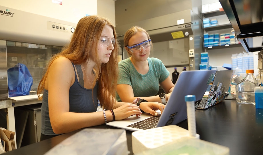 Liza Harold, a fourth-year biomedical engineering student, and Clare Cocker, a third-year chemical engineering student, are undergraduate researchers in the Lampe Biomaterials Group at the School of Engineering and Applied Science.