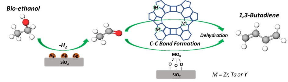 C-C Bond Formation
