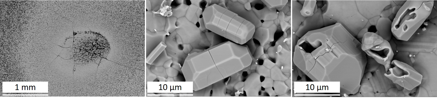 Barium strontium aluminosilicate (BSAS) exposed in the steam-jet furnace for 125 hours: