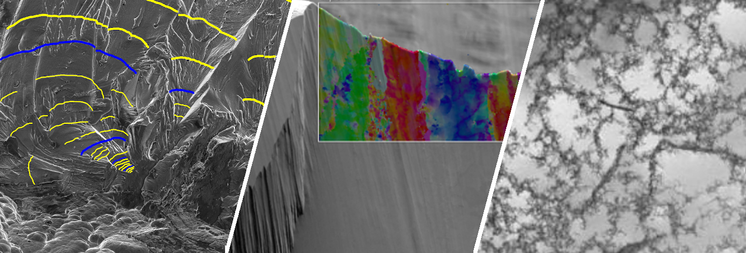 Micrograph Techniques