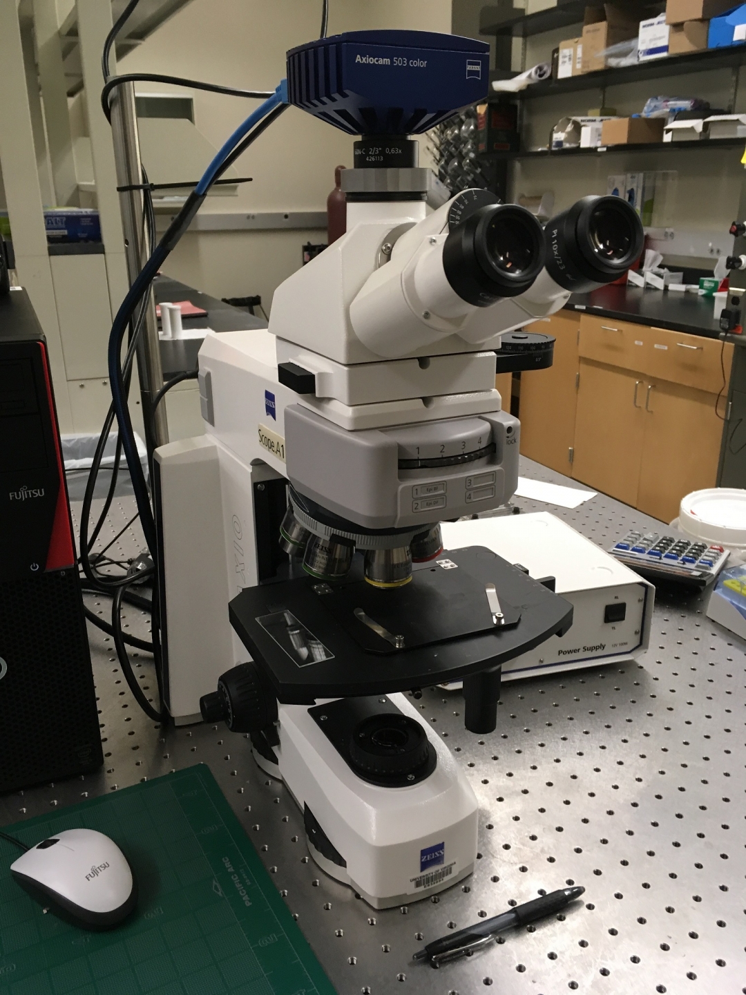 Optical Microscopy