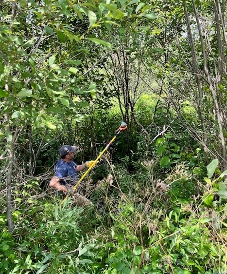 man collecting water sample