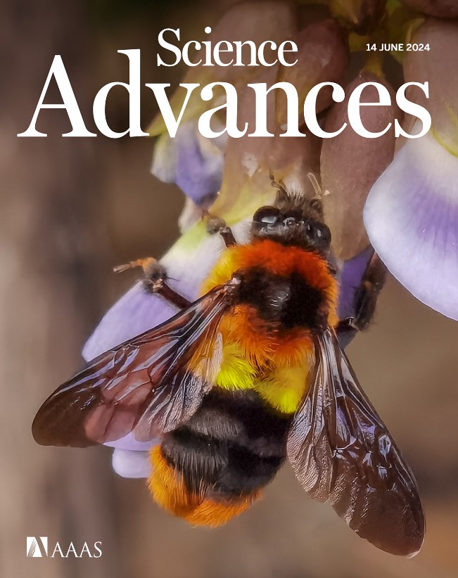 Science Advances cover