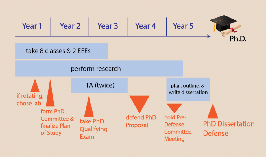 UVA BME timeline graphic