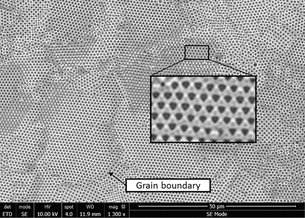 Scanning electron image