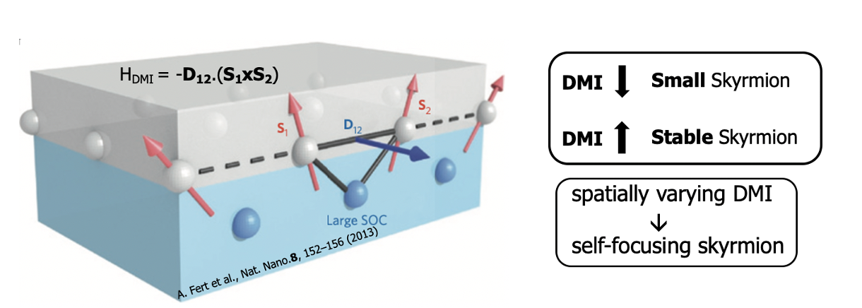 Polarization and half-metallicity in Heuslers