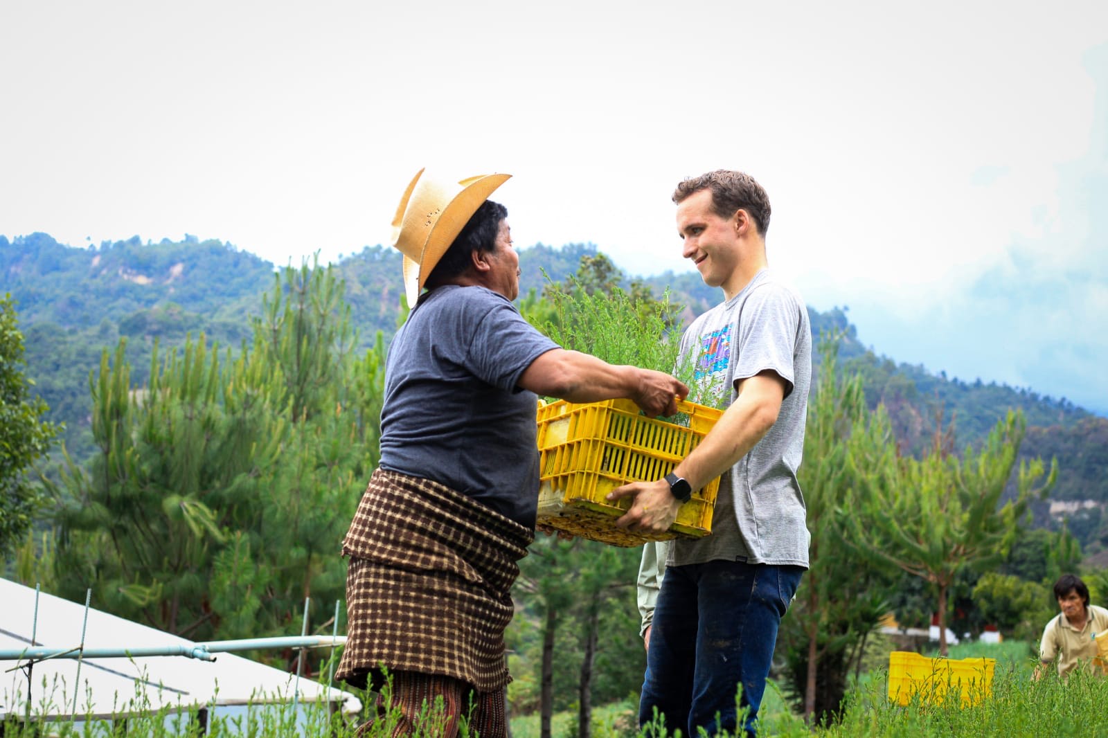 A volunteer with Wellkind Guatemala hands Hertel seedlings to plant.