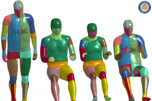Human Body Models