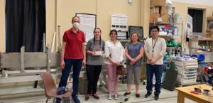 Lampe Group Activity