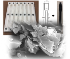 Polymer Nanocomposites