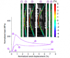 Buckling Response of SMA Bars