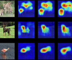 XAI - Explainable AI