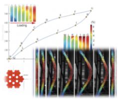 Shape Memory Alloy Materials