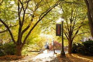 Student walking under trees past an Engineering banner outside of Olsson