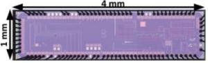 A Bit-Level Duty-Cycled Tuned RF Wake-up Receiver