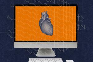 illustration of a human heart