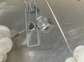 sample on platen