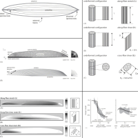 Publication 1 Figure