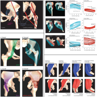 Publication 2 Figure