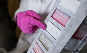 Researcher points to box in liquid nitrogen tank 