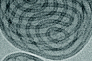bi-continuous nanosphere 