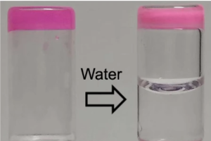 PPSU Hydrogel 