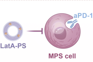 graphical abstract 