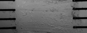 testing image