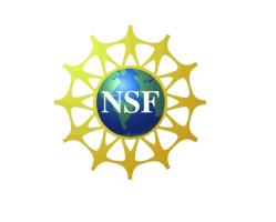 nsf logo