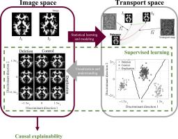 Figure from a scientific paper