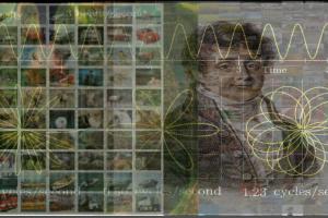 VIVA header collage