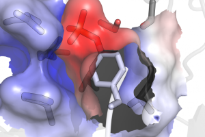 diagram of a molecule