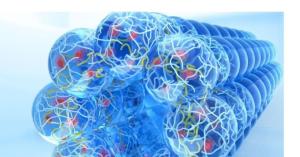 Explore the UVA Soft Biomatter Lab