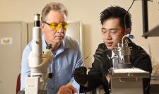 John R. Scully and Ho Lun Chan