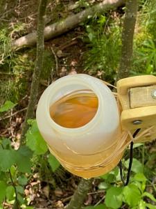 water sample