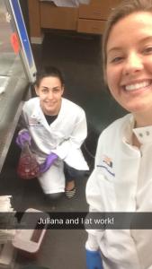 cell_culture
