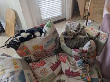 Philly_and_Sophie