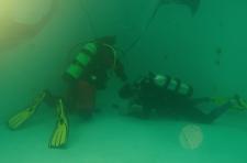 Two scuba divers in a pool