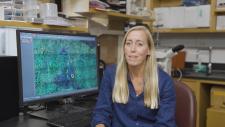 Shayn Peirce-Cottler in her lab