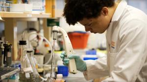 Malcolm O'Malley uses a pipette at a research bench