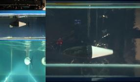 robotic tuna in water 
