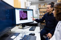 Cancer systems biology research in the Fallahi-Sichani Lab at UVA